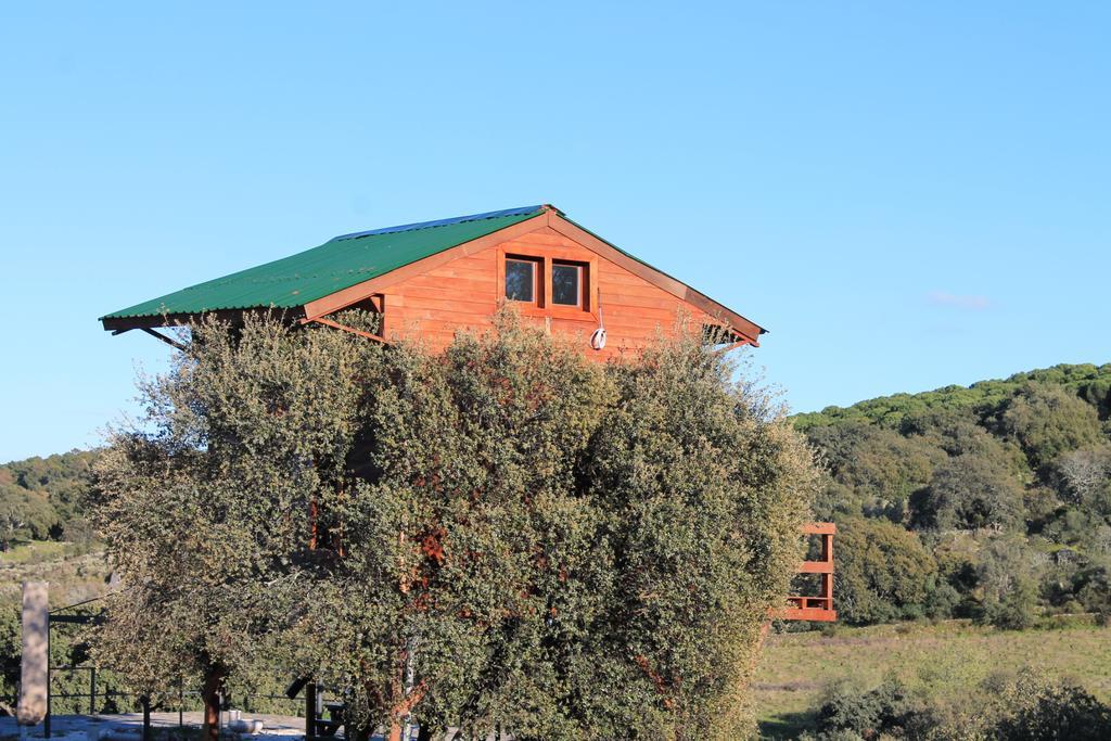 Cabana El Mirador Guest House Pedroso de Acim Exterior photo